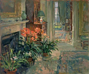Clivia y orquídea